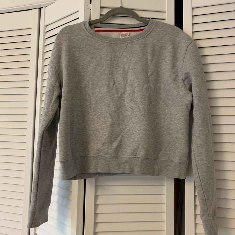 Grey Crop sweatshirt- vintage looking